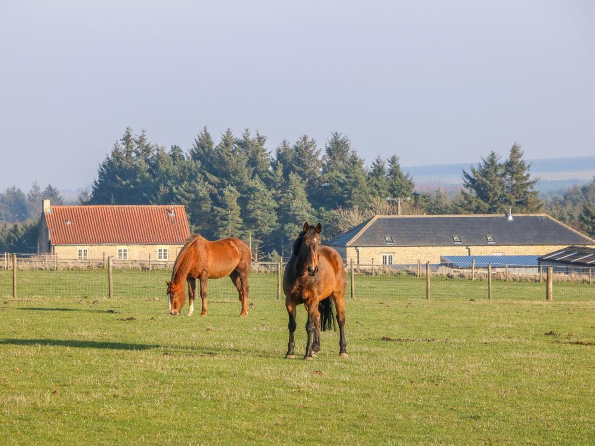The Byre Villa Thirsk Exterior photo